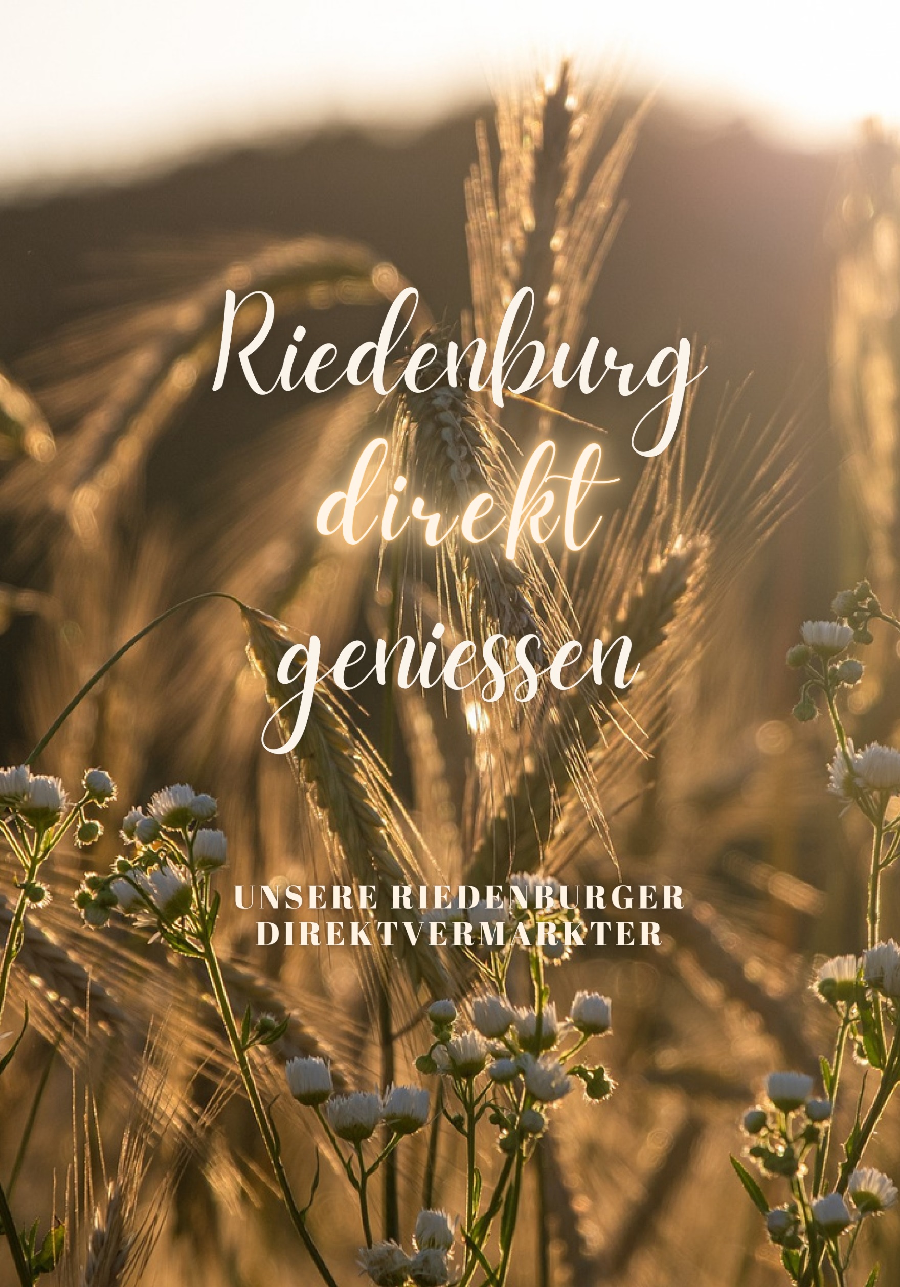 Auf diesem Bild sieht man die Titelseite der Broschüre Riedenburg direkt genießen.