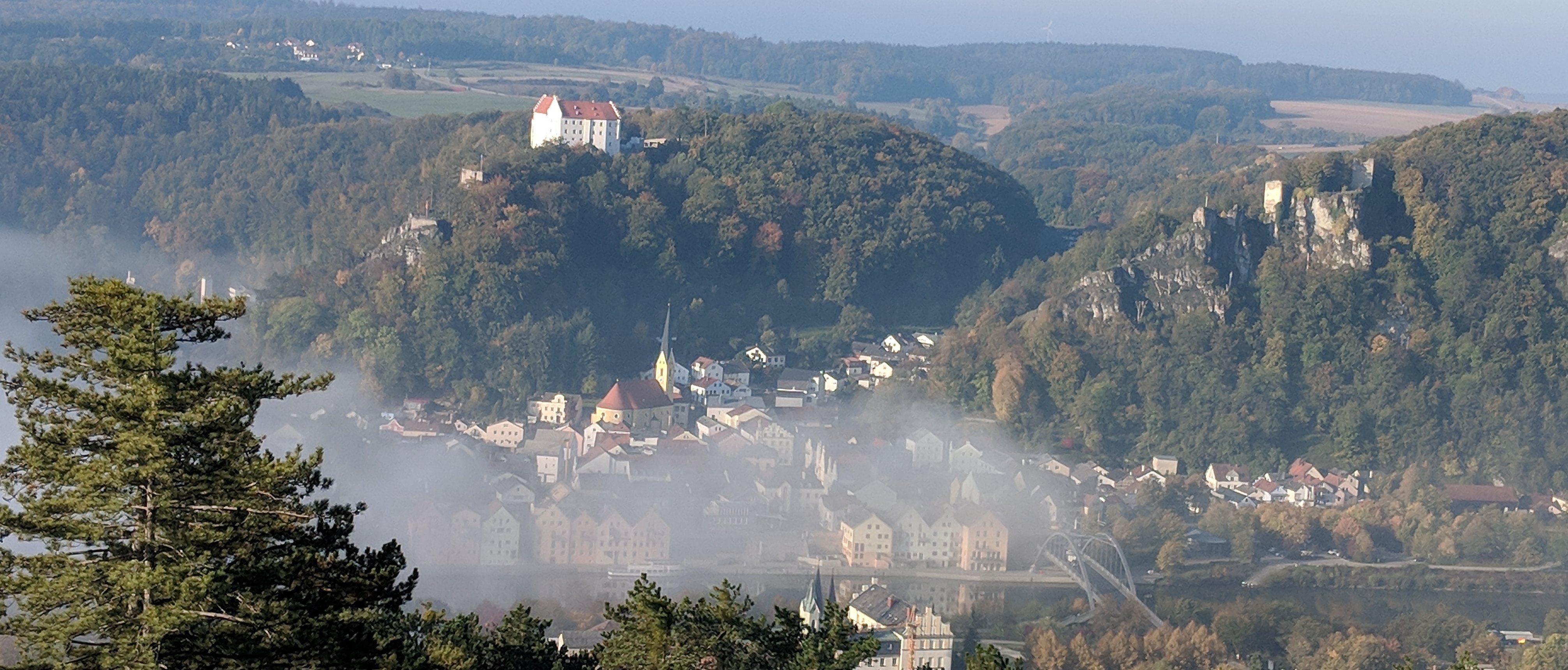 Riedenburg im Nebel