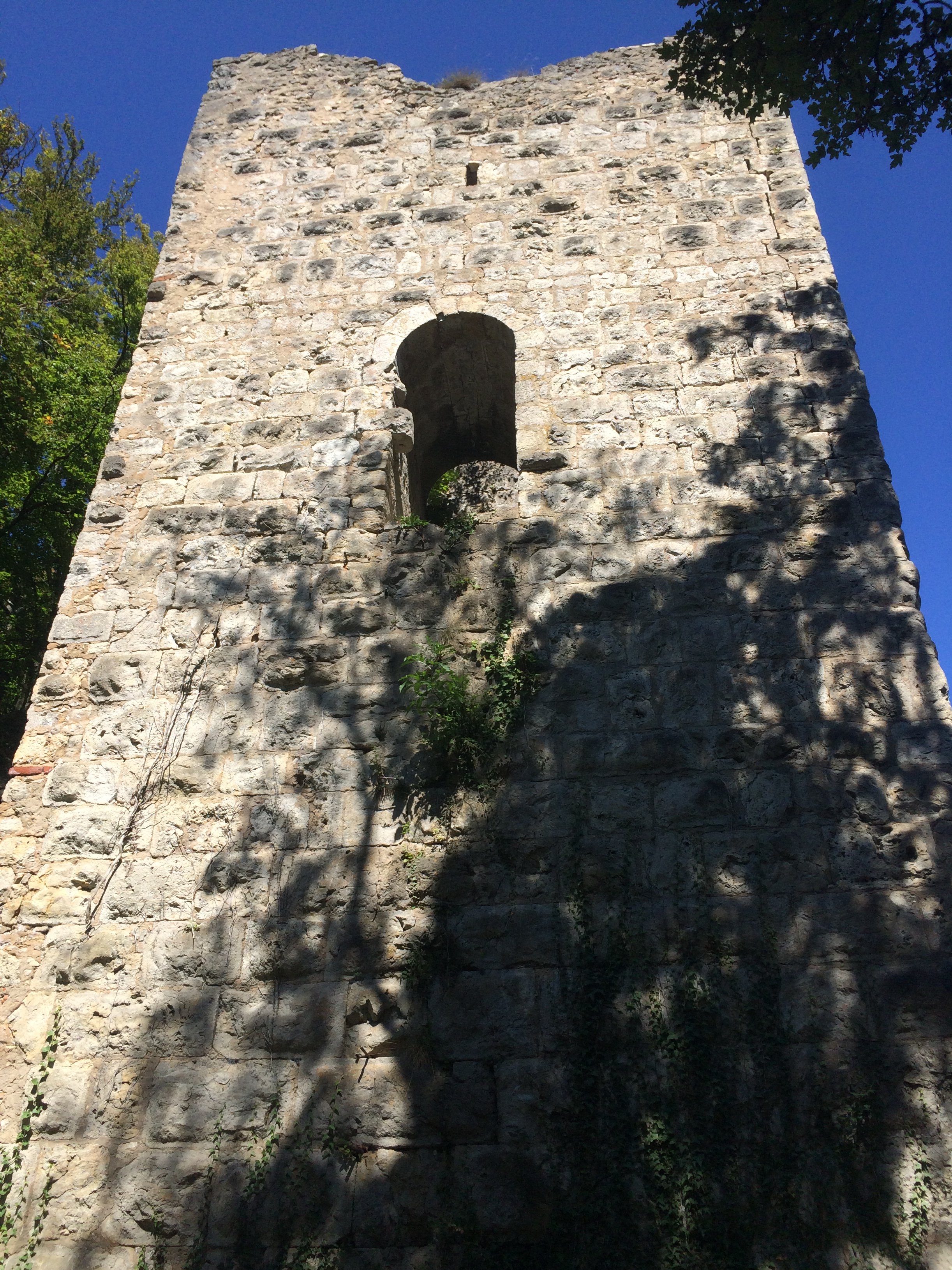 Ruine Tachenstein im Sommer