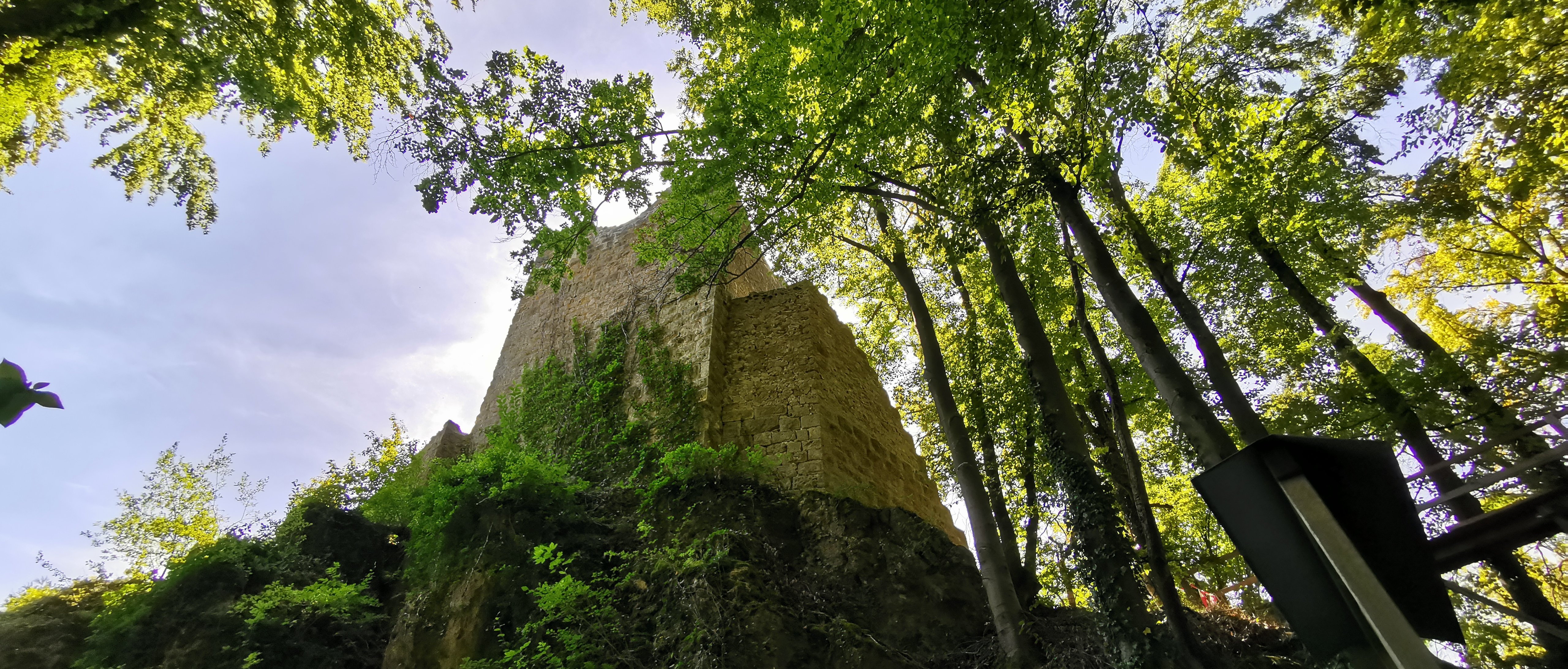 Ruine Tachenstein